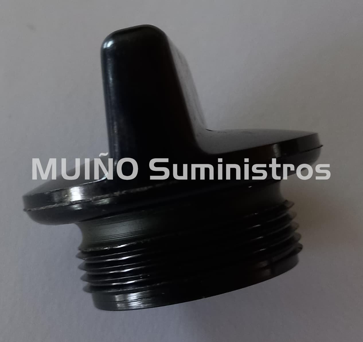 Tapòn motor Diter MWM 632113520054632113520054 - Imagen 1