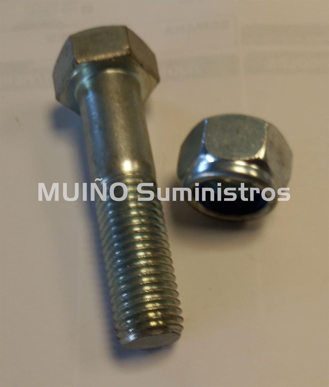 Tornillo 24-300 x100 - Imagen 1